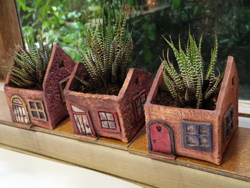 Pottery houses with Aloes in the top